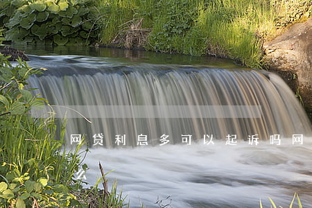 网贷利息多可以起诉吗(网贷利息高可以追回么)