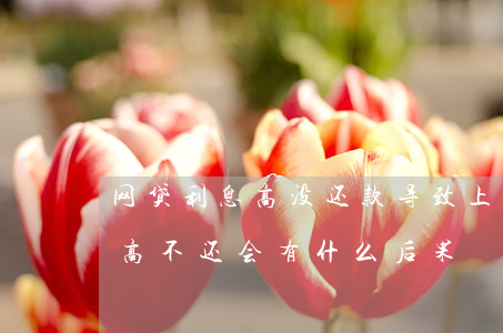 网贷利息高没还款导致上了征信-网贷利息高不还会有什么后果