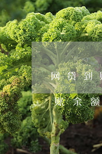 网贷到账余额提现不了需要还款吗-网贷到账余额提现不了需要还款吗怎么办