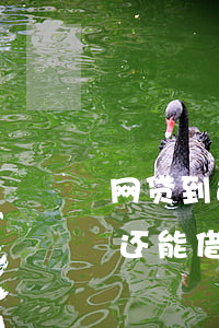 网贷到还款日多久算逾期(网贷逾期几天还了还能借吗?)