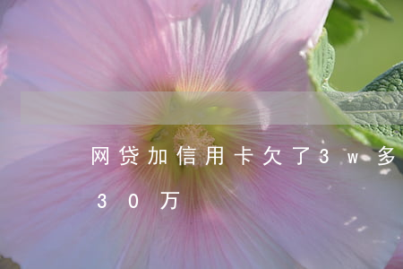 网贷加信用卡欠了3w多(网贷加信用卡欠了30万)