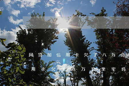 网贷加信用卡欠了八万会坐牢吗-网贷加信用卡欠了八万会坐牢吗知乎