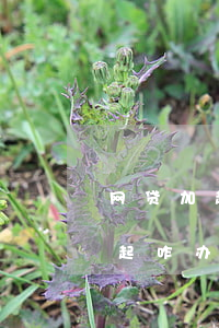 网贷加起来欠了8万怎么办(网贷欠8万还不起咋办)