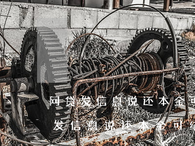 网贷发信息说还本金可结清是真的吗-网贷发信息说还本金可结清是真的吗吗