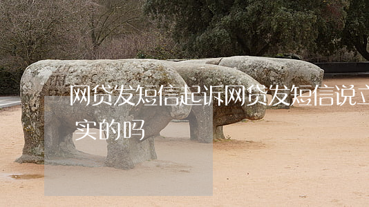 网贷发短信起诉(网贷发短信说立案起诉是真实的吗)