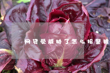 网贷受威胁了怎么报警（被网贷威胁起诉）