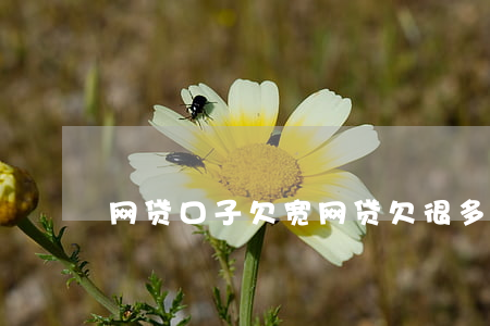 网贷口子欠宽(网贷欠很多)
