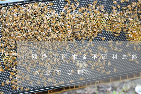 网贷只还本金不还利息能行不(网贷欠款只还本金可以吗)