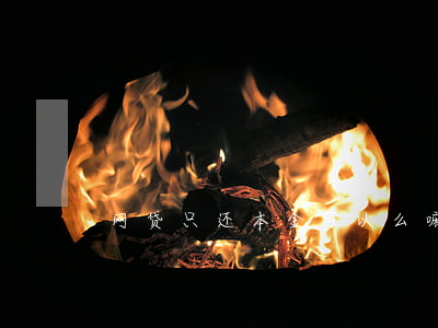网贷只还本金可以么嘛（网贷只还本金可以么）