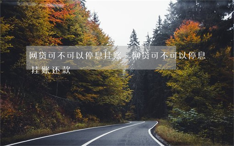 网贷可不可以停息挂账-网贷可不可以停息挂账还款