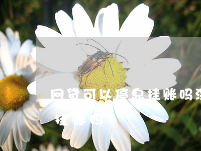 网贷可以停息挂账吗深圳(银行贷款可以停息挂账吗)