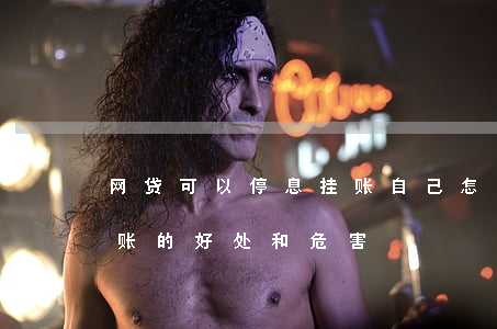 网贷可以停息挂账自己怎么去申请-停息挂账的好处和危害