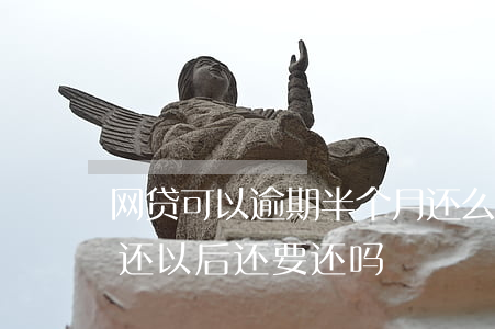 网贷可以逾期半个月还么(网贷逾期半年了没还,以后还要还吗)
