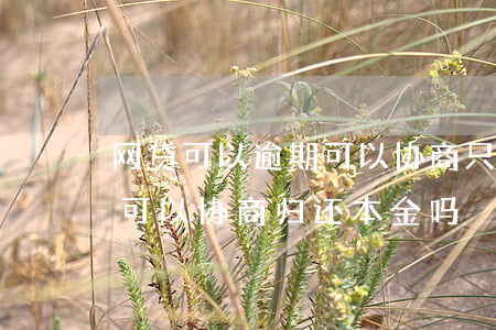 网贷可以逾期可以协商只还本金吗-欠网贷可以协商归还本金吗