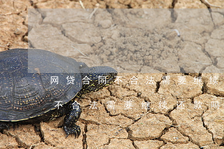 网贷合同不合法需要继续还款吗-网贷合同不合法需要继续还款吗怎么办