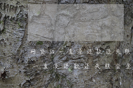 网贷后一直没还款还失联会坐牢吗-网贷后一直没还款还失联会坐牢吗知乎