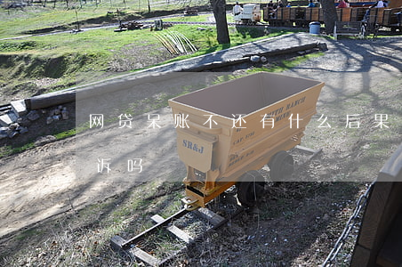 网贷呆账不还有什么后果（网贷呆账了还会起诉吗）