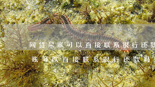 网贷呆账可以直接联系银行还款吗-网贷呆账可以直接联系银行还款吗知乎