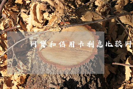 网贷和信用卡利息比较(网贷和信用卡一样吗)