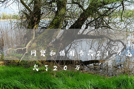 网贷和信用卡欠21万怎么办(网贷加信用卡欠了20万)