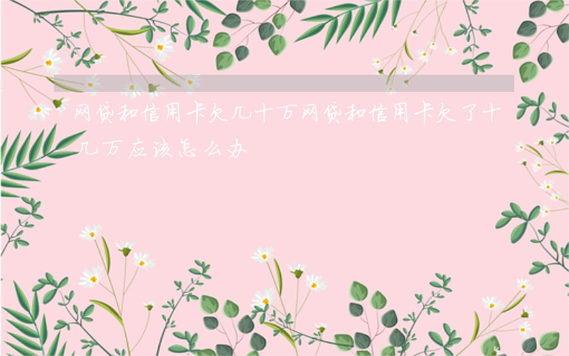 网贷和信用卡欠几十万(网贷和信用卡欠了十几万,应该怎么办?)