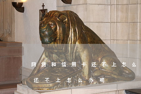 网贷和信用卡还不上怎么办-网贷和信用卡还不上怎么办呢