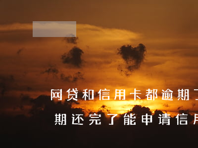 网贷和信用卡都逾期了该先还哪个(网贷有逾期还完了能申请信用卡吗)