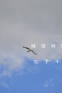 网贷和银行信用卡欠了好多钱(网贷和信用卡欠了十几万,应该怎么办?)