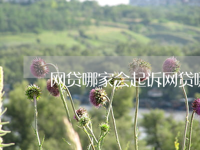 网贷哪家会起诉(网贷哪家会起诉)