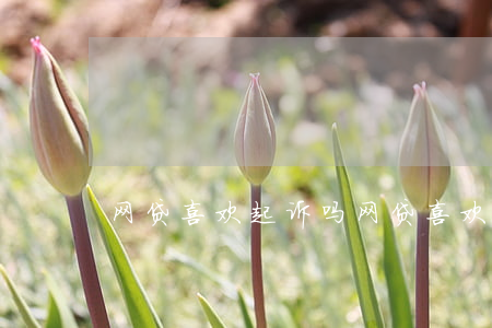 网贷喜欢起诉吗(网贷喜欢起诉吗为什么)