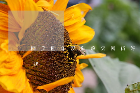 网贷四年没催收(欠网贷好几年也没有催收找我)
