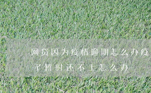 网贷因为疫情逾期怎么办(疫情影响网贷逾期了暂时还不上怎么办)