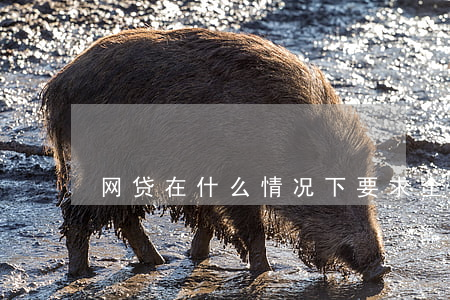 网贷在什么情况下要求全额还款-