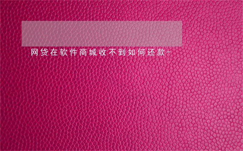 网贷在软件商城收不到如何还款-