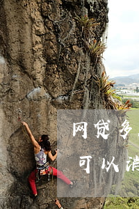 网贷多久不还会成为呆账(网贷呆账了过5年可以消除吗)