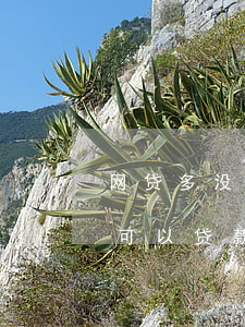 网贷多没有逾期买房可以(有多次网贷没逾期可以贷款买房子么)