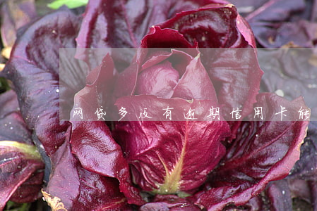 网贷多没有逾期信用卡能下吗