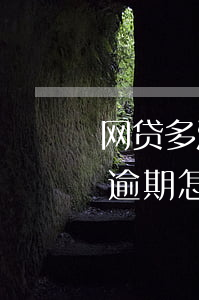 网贷多没有逾期大数据(网贷记录很多但从未逾期怎么处理)
