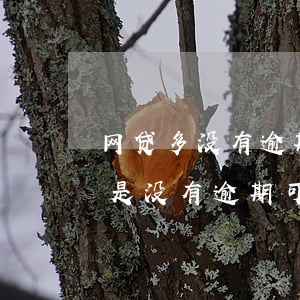 网贷多没有逾期怎么办信用卡(有很多网贷但是没有逾期可以申请信用卡吗)