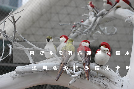 网贷多没有逾期申请信用卡 网贷过多但没有逾期会影响办信用卡吗