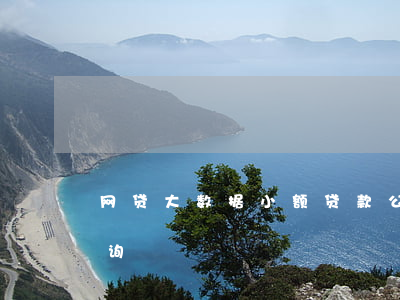 网贷大数据小额贷款公司(网贷大数据免费查询)