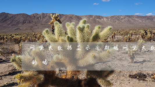 网贷大数据显示逾期吗(网贷大数据清除是真的吗)