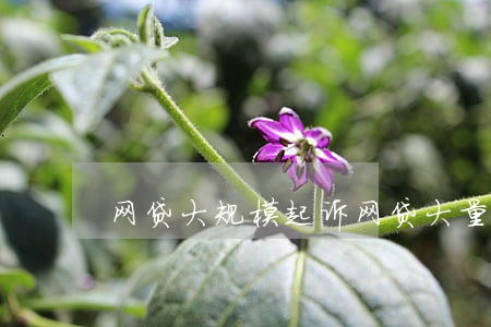 网贷大规模起诉(网贷大量起诉)