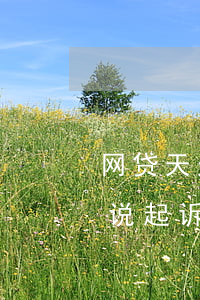 网贷天天发信息说起诉(网贷逾期老是发短信说起诉我,是不是真的会起诉)