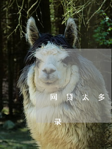 网贷太多如何债务重组（怎么消除网贷申请记录）