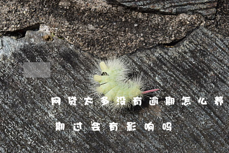 网贷太多没有逾期怎么养(网贷借太多没有逾期过会有影响吗)