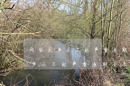 网贷太多还不起严重逾期会怎么样-网贷太多还不起严重逾期会怎么样吗