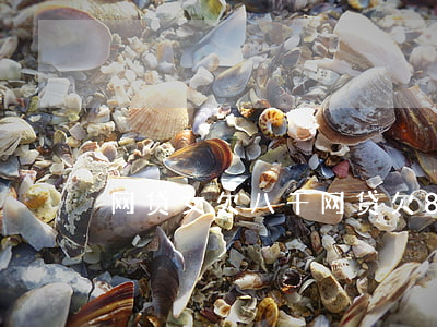 网贷女欠八千(网贷欠8000)