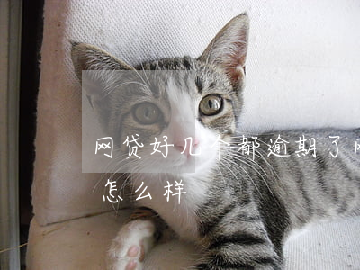 网贷好几个都逾期了(网贷好几个都逾期了会怎么样)