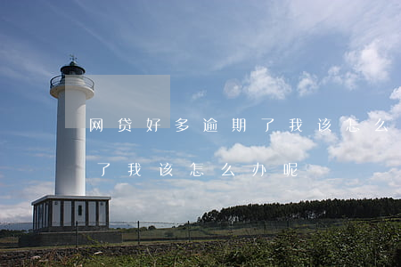 网贷好多逾期了 我该怎么办-网贷好多逾期了 我该怎么办呢